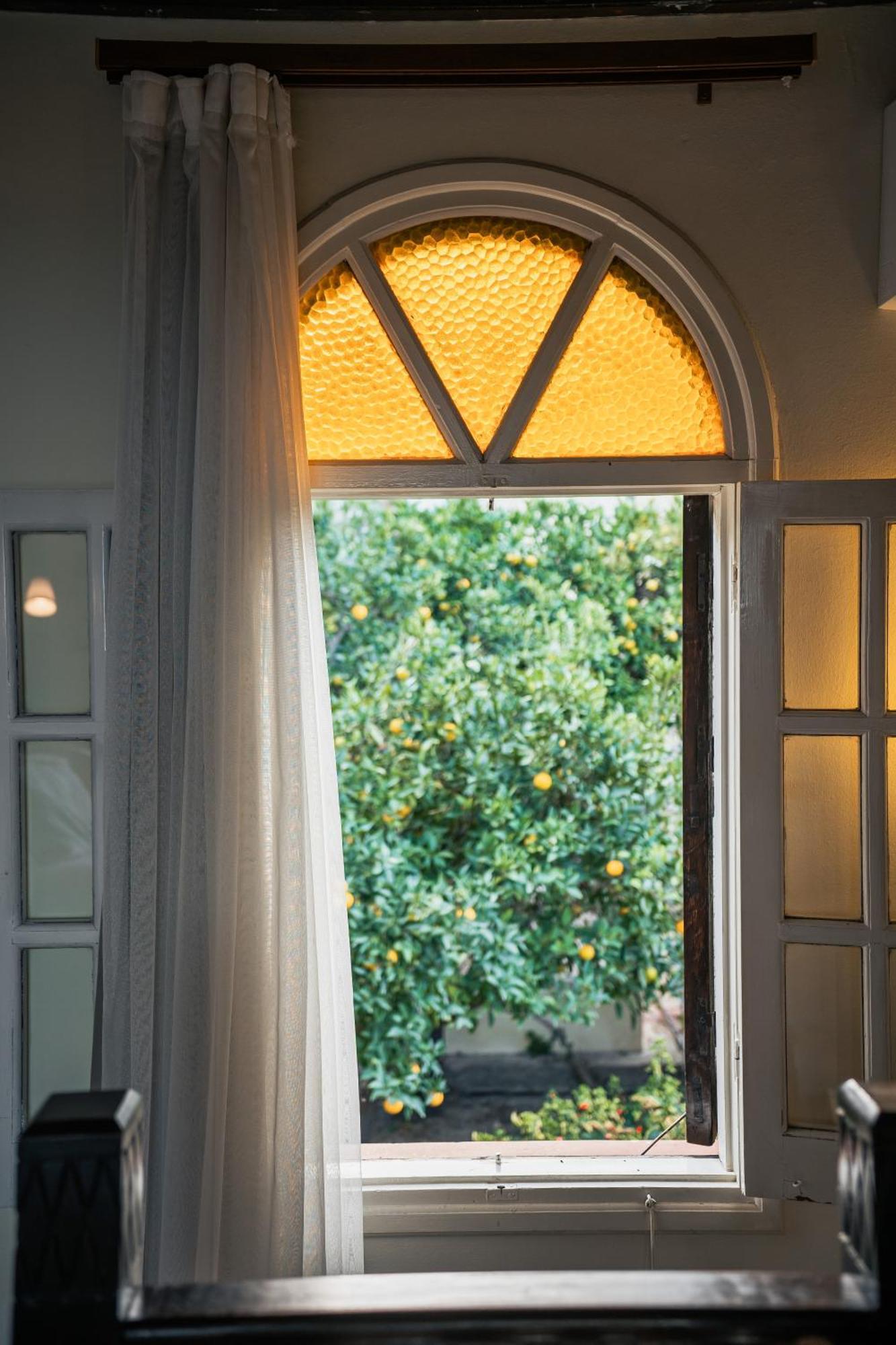 Bellapais Gardens Hostel Luaran gambar