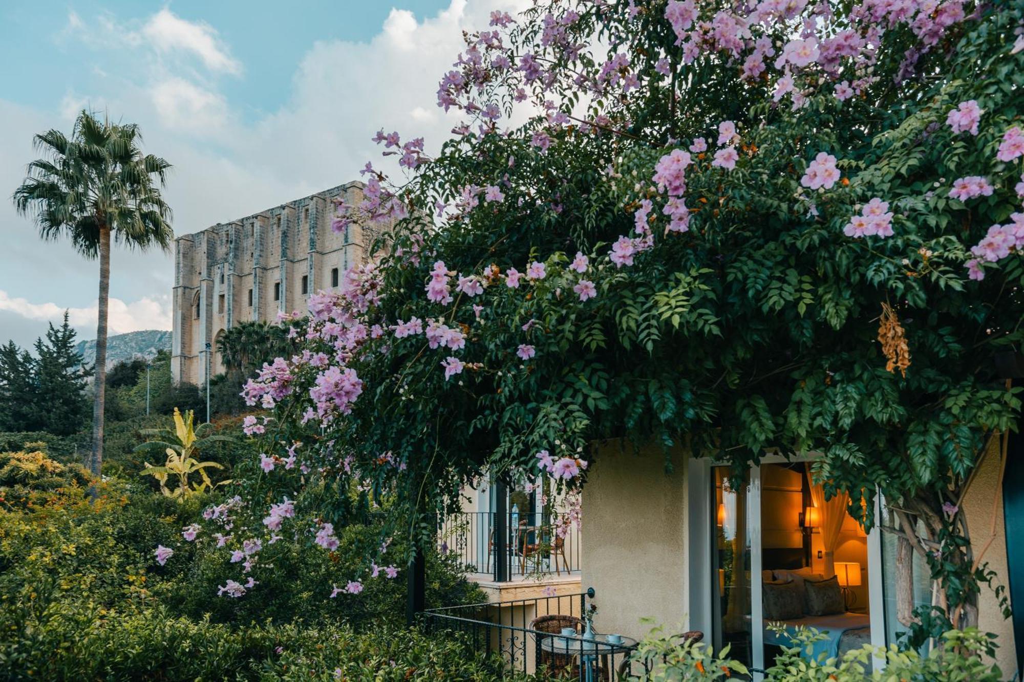 Bellapais Gardens Hostel Luaran gambar