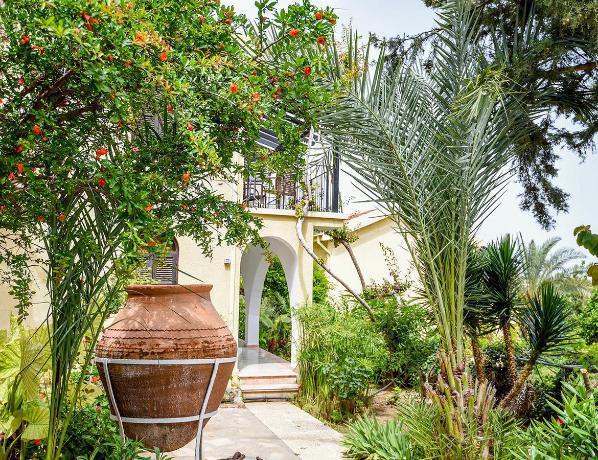 Bellapais Gardens Hostel Luaran gambar
